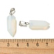 Opalite подвески G-Z067-07P-03-4