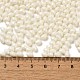 Выпечка расписных стеклянных бусин SEED-C004-04G-4