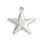 Alloy Pendants, Lead Free & Cadmium Free, Star, Platinum, 24.5x23x1.5mm, Hole: 1.6mm