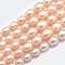 Natural Cultured Freshwater PearlBeads Strands, Graduated, Sandy Brown, 5~12x4~9mm, Hole: 0.8mm, about 62pcs/strand, 15.7 inch
