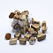 Natural Picture Jasper Beads, Tumbled Stone, Half Drilled, Nuggets, 11~18x14~21x11~16mm