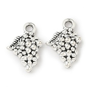Сплавочные подвески тибетского стиля FIND-B050-10AS