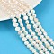 Natural Cultured Freshwater Pearl Beads Strands, Two Sides Polished, Grade 3A++, Seashell Color, 5~6mm, Hole: 0.7mm, about 63pcs/strand, 13.46~13.66''(34.2~34.7cm)