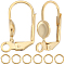 Beebeecraft 1 Box 20Pcs Leverback Earring Findings 24K Gold Plated Brass French Earring Hooks Ear Wire Findings with 20Pcs Dangle Jump Rings for Jewelry Making