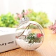 Украшения из прозрачных пластиковых наполняемых шариков XMAS-PW0002-02A-03-1