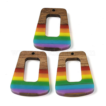 Подвески Pride на тему радуги из смолы и орехового дерева WOOD-K012-11B-1