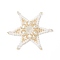 Seed Beads Beaded Charms, Star Pendants, with Glass Pearl Beads, White, 64x64x6mm