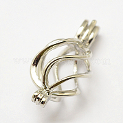 Латунные диффузор Locket подвески KK-P100-24P-NR