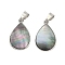 Natural Paua Shell Pendants, Brass Charms, Platinum, Teardrop, 23.5x15x2.5mm, Hole: 4x6mm