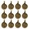 Tibetan Style Alloy Charms, Flat Round with Swirl, Lead Free and Cadmium Free, Antique Bronze, 11.8x8x1.5mm, Hole: 1mm