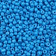 Выпечка краска стеклянные бусины SEED-S002-K17-2