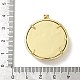 Подвески латуни cmолы KK-H079-02A-G04-3