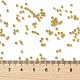 Цилиндрический бисер SEED-H001-C10-3