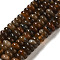 Natural Petrified Wood Beads Strands, Dyed & Heated, Rondelle, 6x3mm, Hole: 0.7mm, about 130pcs/strand, 15.94''(40.5cm)
