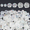 120Pcs 3 Style Transparent Plastic Beads, AB Color Plated, Rose, Clear AB, 11.5~23x12~23.5x5~9mm, Hole: 1.5~2mm
