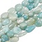 Natural Amazonite Nuggets Beads Strands, 8~12x7~9x3~6mm, Hole: 1mm, about 38pcs/strand, 14.96''(38cm)