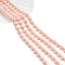 2 Strands Electroplated Shell Pearl Beads Strands, Polished, Round, Dark Salmon, 8mm, Hole: 1mm, about 50pcs/strand, 15.7 inch