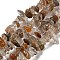 Natural Rutilated Quartz Beads Strands, Chip, 2.5~7x6~14x5~8mm, Hole: 0.8mm, 31.10~31.89''(79~81cm)