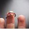 Twelve Constellation Brass Micro Pave Clear Cubic Zirconia Cuff Rings, Platinum, Taurus, Inner Diameter: Adjustable
