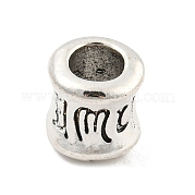 Европейские сплавочные бусины тибетского стиля  FIND-M011-17AS