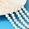 Natural Cultured Freshwater Pearl Beads Strands, Two Sides Polished, Grade 4A, Old Lace, 8~9mm, Hole: 0.6mm, about 47~49pcs/strand, 13.82''~14.06''(35.1~35.7cm)