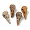 Natural Fossil Coral Pendants, Bird Head Skull Charms, 47~49x20~22x20~22mm, Hole: 2~2.5mm