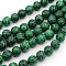 Gemstone Strands, Imitation Malachite, Round, Dyed, 12mm, Hole: 1mm, about 32pcs/strand, 15 inch