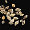 Natural Spiral Shell Beads, No Hole,, Lemon Chiffon, 7~15x3~9x3~7mm, about 3875pcs/500g