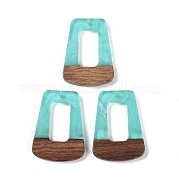 Подвески из смолы и дерева WOOD-F015-11C