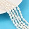 Natural Cultured Freshwater Pearl Beads Strands, Two Sides Polished, Grade 4A+, Seashell Color, 5~6mm, Hole: 0.6mm, about 45~46pcs/strand, 13.23~13.50''(33.6~34.3cm)