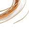 5M Aluminum Wire, Flat, for DIY Craft, Sandy Brown, 1x0.3mm, about 16.40 Feet(5m)/Roll