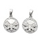 Brass Micro Pave Cubic Zirconia Charms, Cadmium Free & Nickel Free & Lead Free, with Shell, Flat Round with Dragonfly, Platinum, 15x13x3mm, Hole: 5x2.5mm