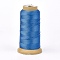 Polyester Thread, for Custom Woven Jewelry Making, Dodger Blue, 0.5mm, about 480m/roll