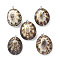 Natural Sea Shell Big Pendants, Oval Charms, with Platinum Tone Brass and Alloy Findings, 49.5~53x38~42x26~28.5mm, Hole: 4x6mm