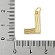 Латунные подвески KK-B148-15G-L-3