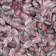 Матовые стеклянные бусины SEED-N008-05J-3
