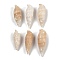 Natural Spiral Shell Pendants, Shell Shape Charms, Beige, 39~53x13~18mm, Hole: 1.5mm, about 83pcs/500g