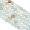 2 Strands Natural Flower Amazonite Beads Strands, Round, Grade A, 3mm, Hole: 0.5mm, about 136pcs/strand, 15.87''(40.3cm)