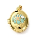 Латунь эмаль Locket подвески KK-F912-06G-2