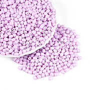 Выпечка краска стеклянные бусины SEED-N007-29B
