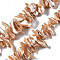 Natural Trochid Shell/Trochus Shell Beads Strands, Nuggets, BurlyWood, 1~13x14~42x4~13mm, Hole: 0.8mm, about 110~122pcs/strand, 15.35 inch(39cm)