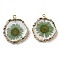 Inner Dried Flower Resin Pendants, Flat Round Charms with Light Gold Plated Brass Edge and Iron Loops, Dark Sea Green, 34~36x30~31.5x4.5~5.5mm, Hole: 2mm