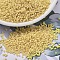 MIYUKI Delica Beads, Cylinder, Japanese Seed Beads, 11/0, (DB1581) Matte Opaque Pear, 1.3x1.6mm, Hole: 0.8mm, about 2000pcs/10g