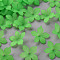 Frosted Acrylic Bead Caps, 20x21.5x4.5mm, Hole: 1.6mm, about 1630pcs/500g