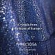 Preciosa® maxima crystal без горячей фиксации плоские камни Y-PRC-NSS16-70040-200-4