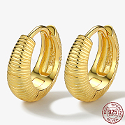 925 серьги из серебра из серебра WZ9806-1