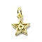 Brass Charms, Cadmium Free & Nickel Free & Lead Free, Star, Real 18K Gold Plated, 11.5x9.5x1.5mm, Hole: 3mm