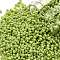 TOHO Round Seed Beads, Japanese Seed Beads, (404) Opaque AB Sour Apple, 11/0, 2.2mm, Hole: 0.8mm, about 5555pcs/50g