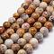 Natural Crazy Lace Agate Beads Strands, Round, 8~9mm, Hole: 1mm, about 45~47pcs/strand, 15 inch